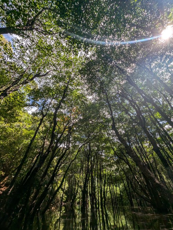 沖縄離島めぐりでエネルギーチャージ♪石垣島～西表島～竹富島にて