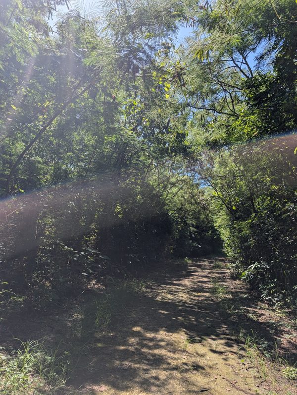 自分を大切にするおすすめ習慣術♪