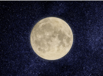 満月の日はボタニカルスパがおすすめ◎自然の力で心と体をリフレッシュ