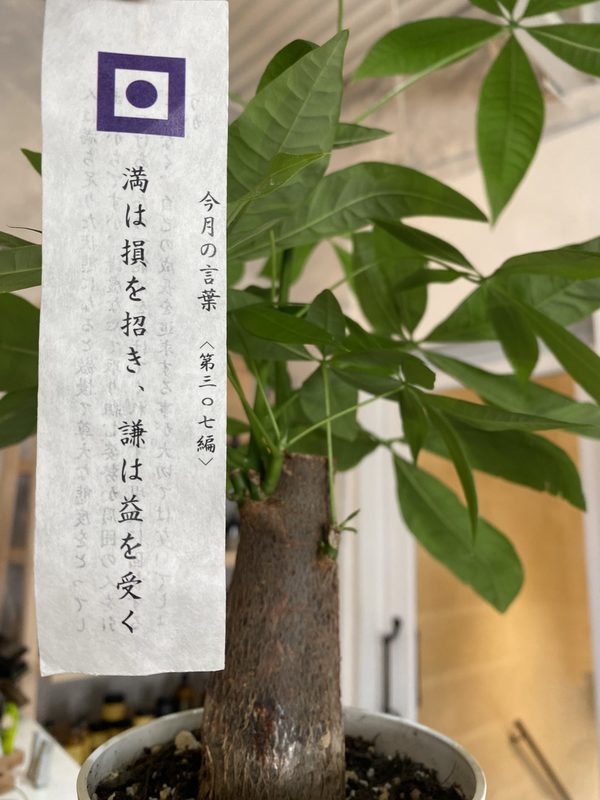 毎月1日の小さな習慣⌛️