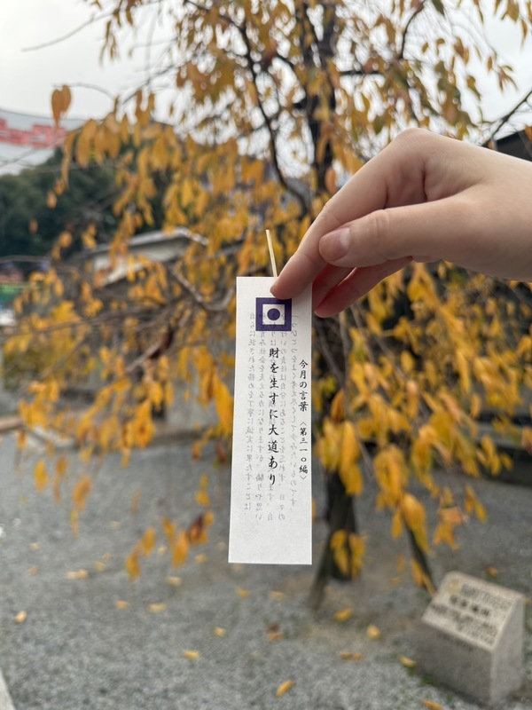 12月ご挨拶ブログ💐💫