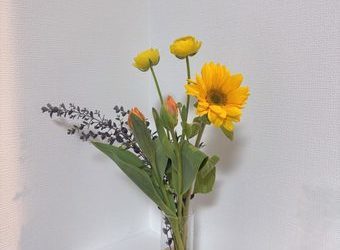 忙しい日々に、やさしい彩りを🌼