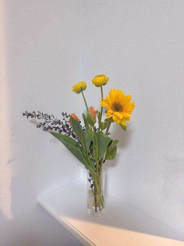 忙しい日々に、やさしい彩りを🌼