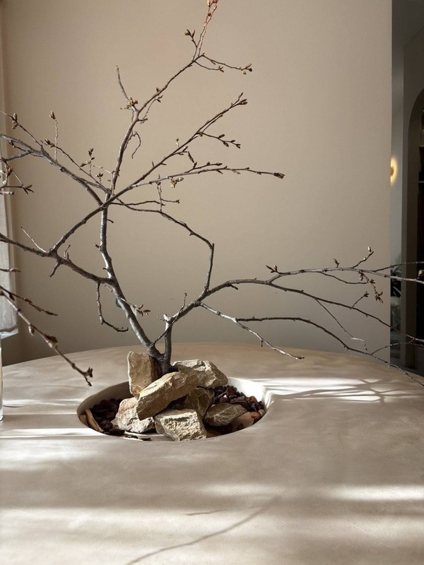 春を待つ桜の枝🌸🪾